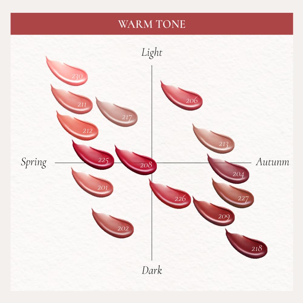 DINTO Blur-Glowy Lip Tint 204 Modestia