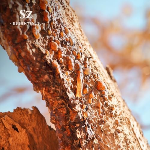 5-Year Aged Myrrh Premium Essential Oil – Rich, Earthy Aroma | Pure & Natural for Aromatherapy & Wellness - Therapeutic Grade & Vegan - 100% Pure and Natural - Undiluted - 0.17 fl oz.