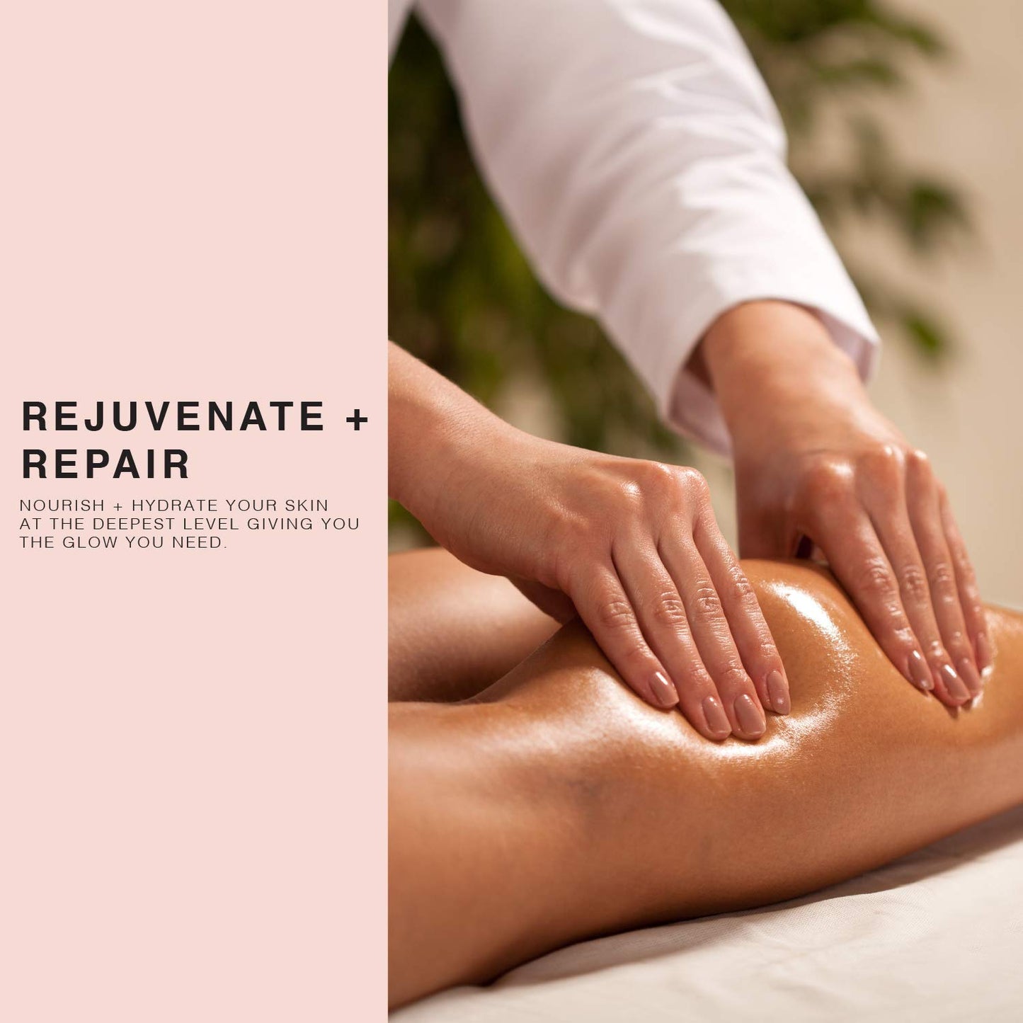 Peony Multi-Use Oil for Face, Body and Hair - Organic Blend of Apricot, Vitamin E Sweet Almond Oil for Dry Skin, Rose Petals & Bergamot Essential Oil - 4 Fl Oz