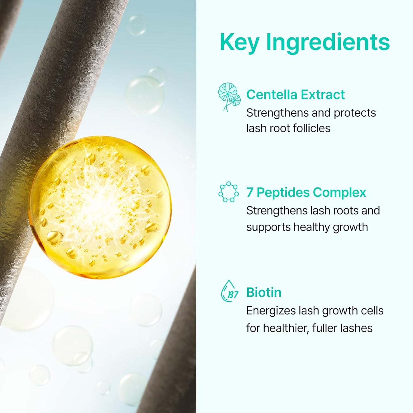 Korean Lash Serum for Fuller, Thicker Lashes | Daily Eyelash & Eye Brow Growth Booster with Biotin, Centella, Peptides, Hyaluronic Acid | Prostaglandin-Free, Vegan, Non-Irritating, 0.3 fl oz