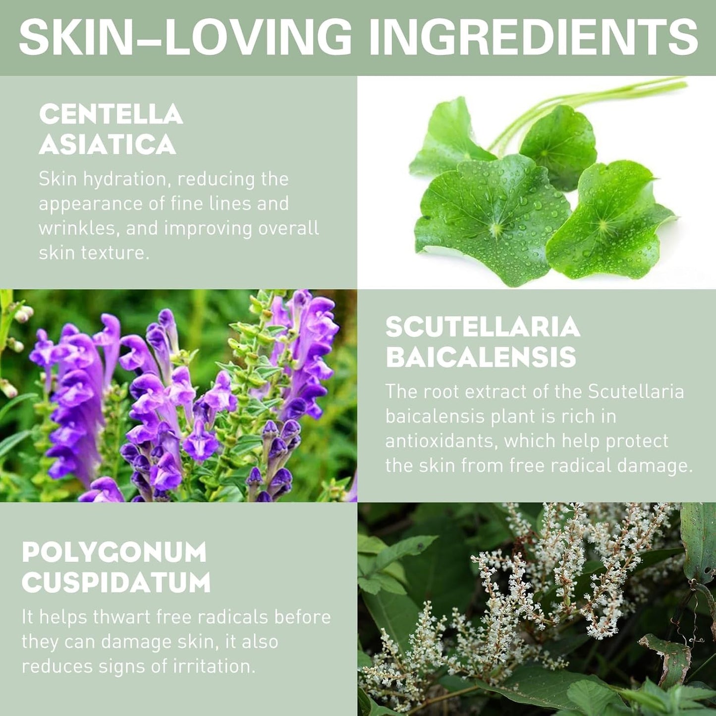 UCANBE Liquid Concealer Stick, Conceals, Covers, Highlights, Medium to Full Coverage Hydrating Color Corrector Face Makeup for Under Eye Dark Circles, Redness, Dullness, Fine Lines - Ivory-0.3 Fl.oz