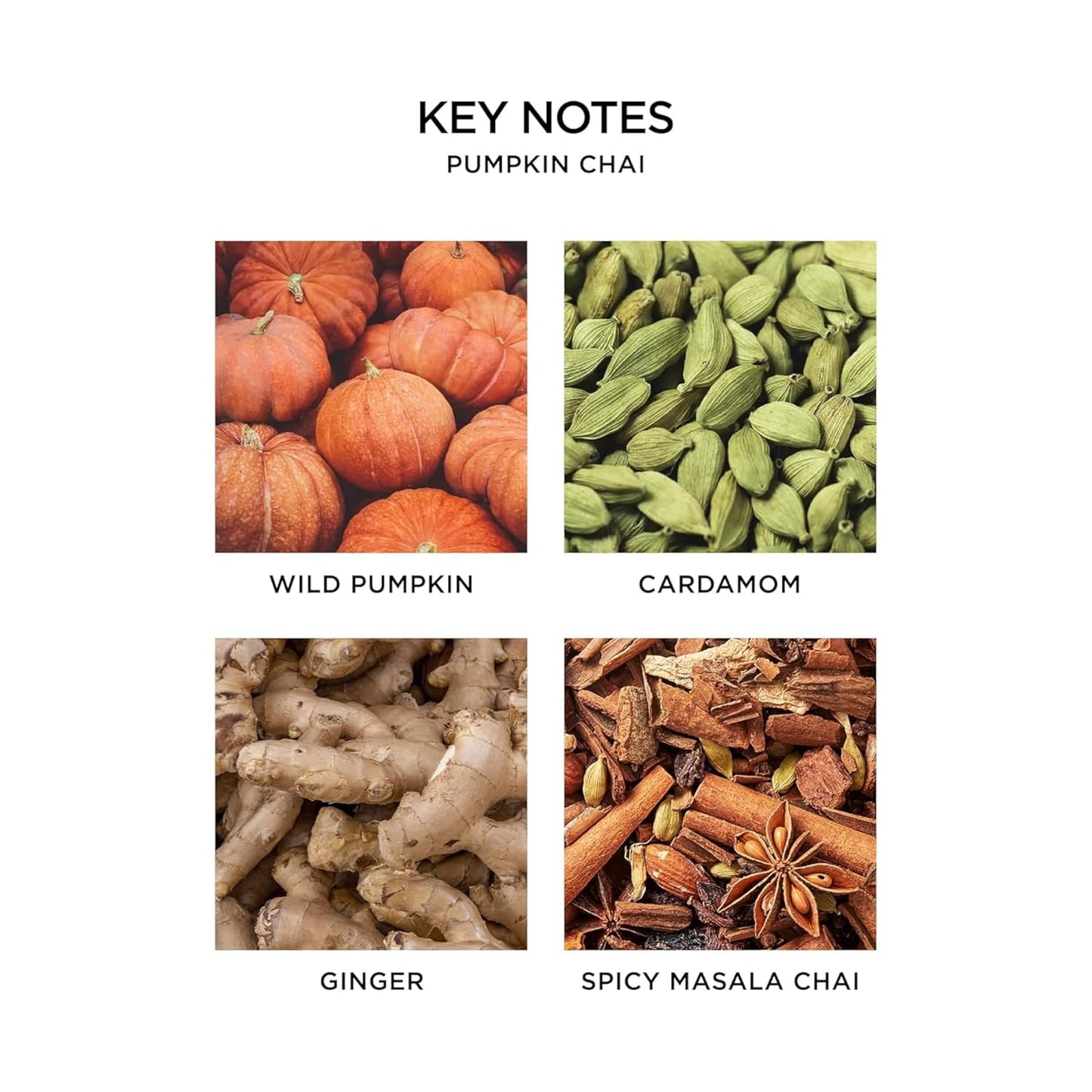 NEST New York Liquid Soap, Pumpkin Chai - 10 fl oz - Cleanses & Nourishes Skin - Approx. 300 Pumps Per Bottle - Gluten Free & Cruelty Free