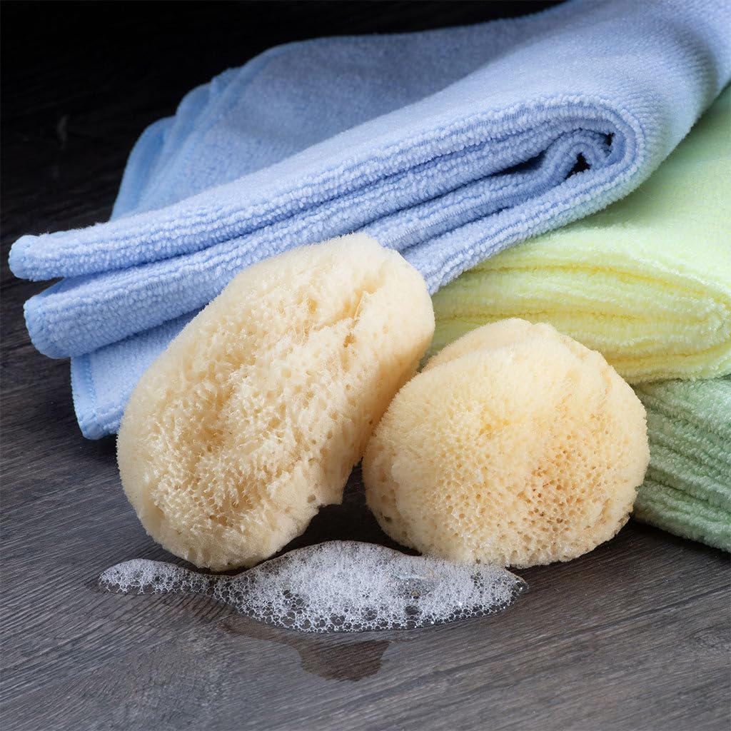 Sea Silk Sponge 2pc Kit, Hand Cut, Medium, Approx. 2-3 inches, Ideal for Cosmetic Use and Facial Cleansing