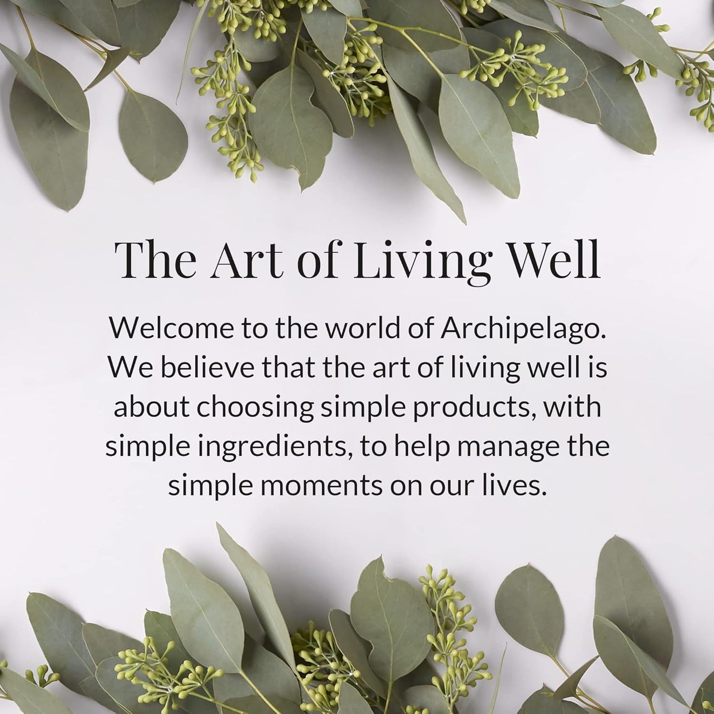 Archipelago Botanicals Black Honey Lotion, Hydrating Body Lotion for Dry Skin, Nourished and Healthy Skin Care, Paraben-Free, Phthalate-Free, 18 oz