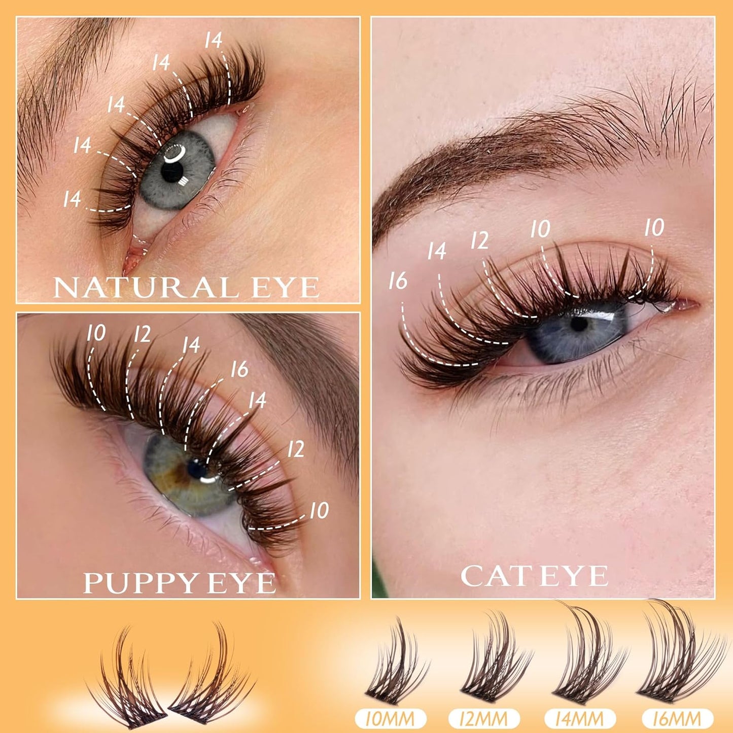 Brown Lash Clusters Natural Eyelash Clusters Manga Lashes Clusters Wispy Lashes Extensions with Invisible Band 3D C Curly Cluster Eyelash Extensions 10-16mm DIY Individual Lashes by Ruairie