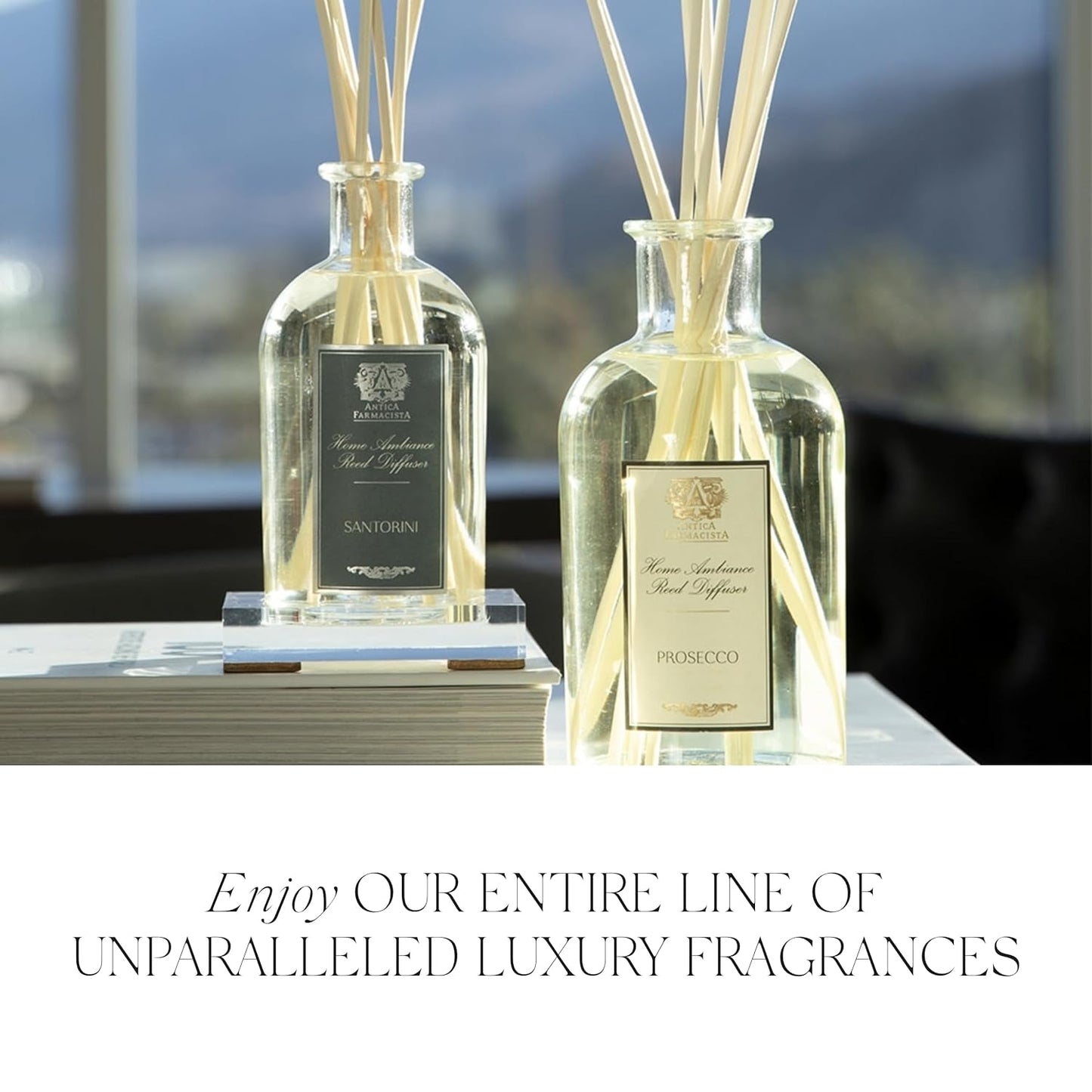 Antica Farmacista Body Moisturizer - Moisturizing Scented Lotion - Premium Body Moisturizer - Luxury Gift for Women & Men - Hand & Skin Hydration - Lush Palm, 10 Fl Oz